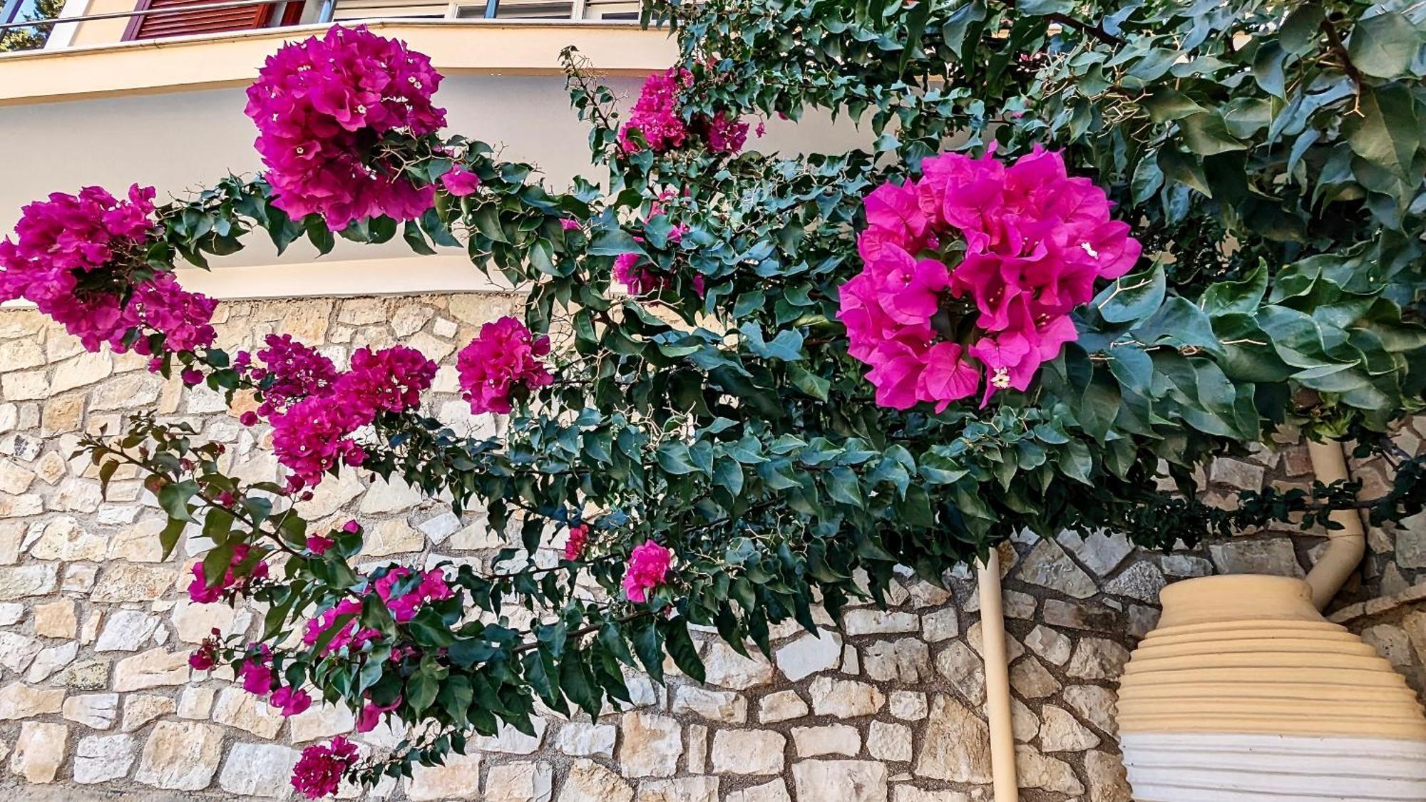 Villa Avgerini Paxos Gáios Exterior foto